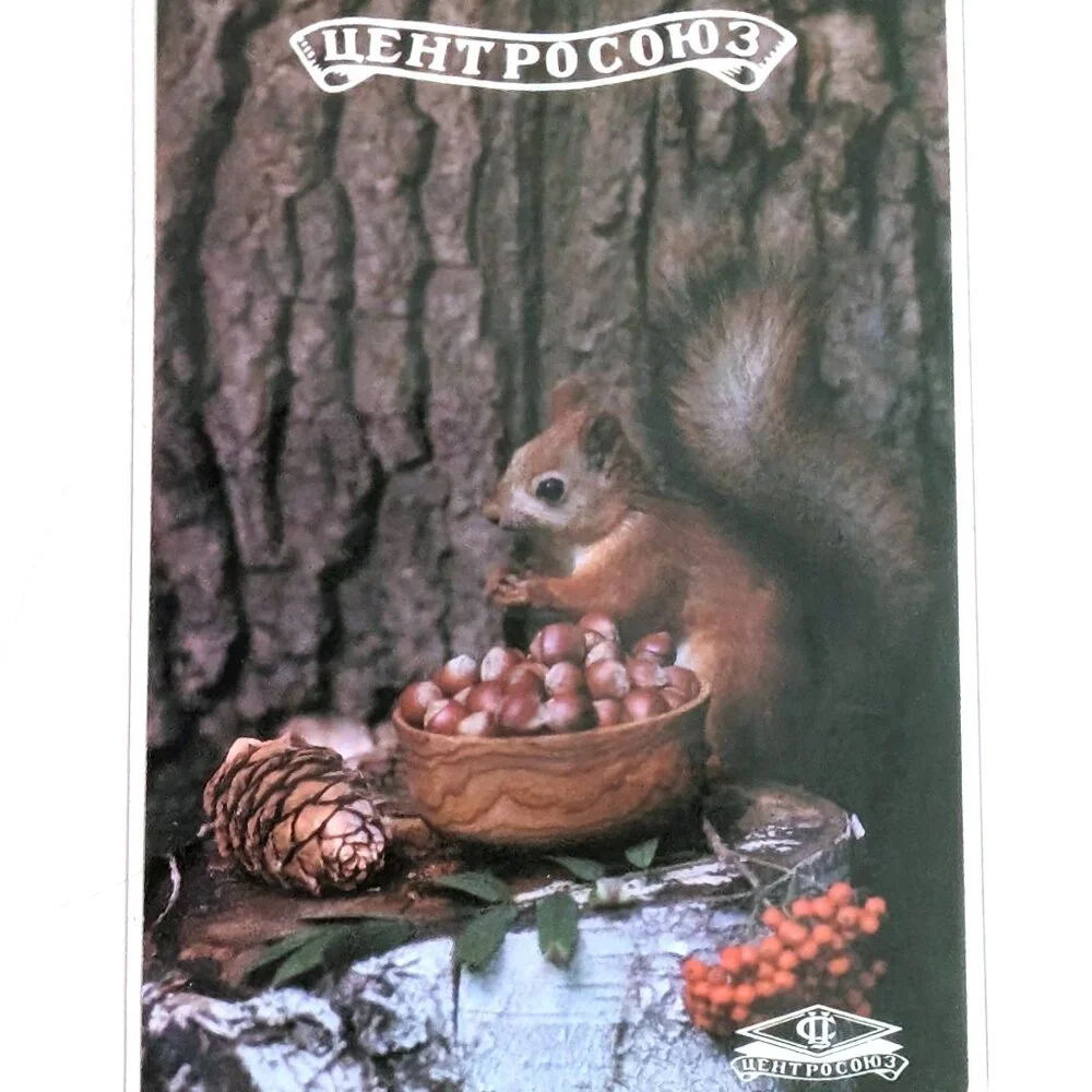Vintage Russian Soviet USSR Pocket Calendar Centrosoyuz Squirrel With Nuts 1980